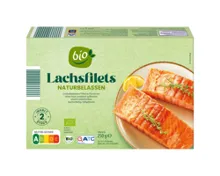 BIO Bio-Lachsfilets