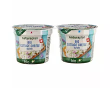 Bio cottage cheese 2x115g