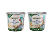 Bio cottage cheese 2x115g