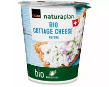 Bio cottage cheese nature