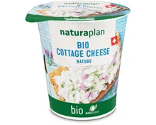 Bio cottage cheese nature