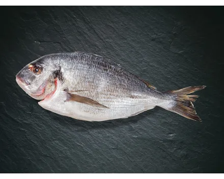 Bio Dorade​