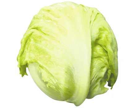 Bio-Eisbergsalat