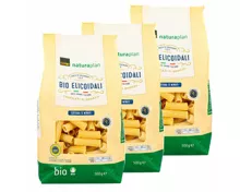 Bio Elicoidali al Bronzo 3x 500g