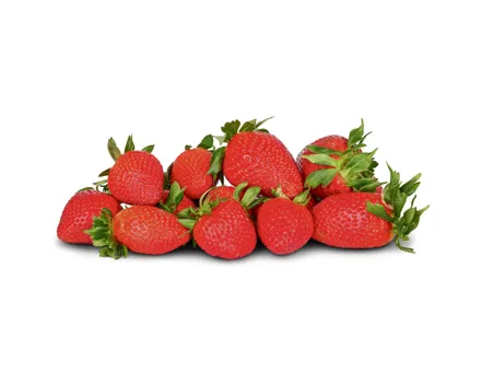 Bio Erdbeeren