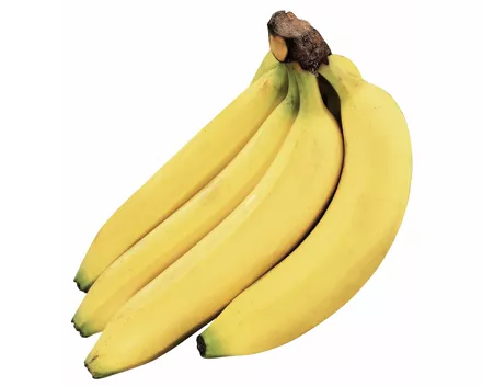Bio Fairtrade Bananen