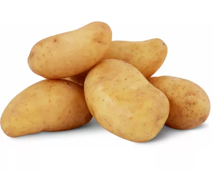 Bio Frühkartoffeln