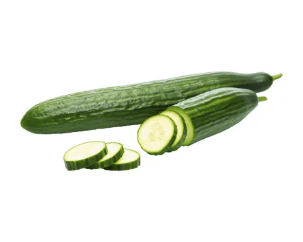Bio Gurken
