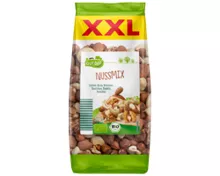 BIO GUT XXL Bio Nussmix, Nussmix