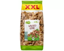 BIO GUT XXL Bio Nussmix, Walnuss