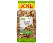 BIO GUT XXL Bio Nussmix, Walnuss