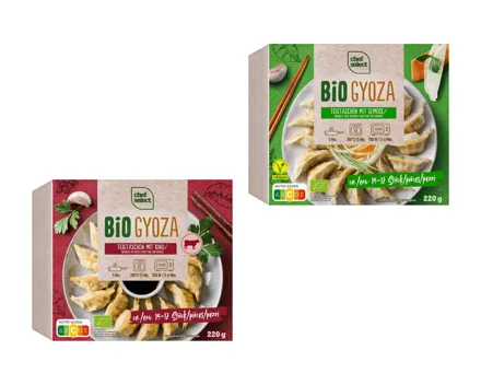 Bio Gyoza japanische Teigtaschen