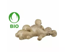 Bio Ingwer ca. 200g