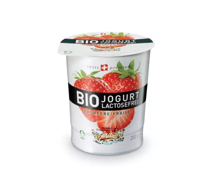 Bio Jogurt Laktosefrei