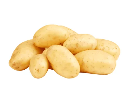Bio Kartoffeln festkochend