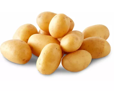 Bio Kartoffeln Patatli