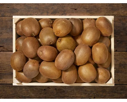 Bio Kiwi (Aktion nur im Tessin gültig)
