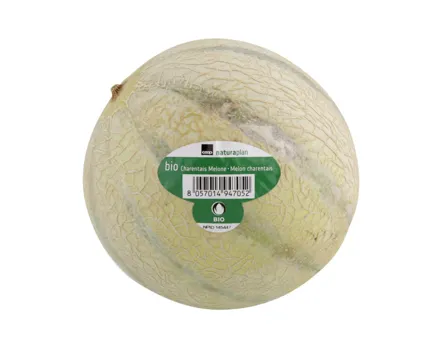 Bio Melone Charentais 1 Stück