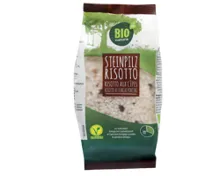 BIO NATURA vegetarisches Steinpilzrisotto
