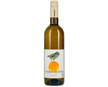 Bio Naturaplan Terra Alpina Vino Bianco