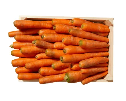 Bio Rüebli