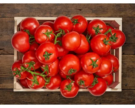Bio Tomaten