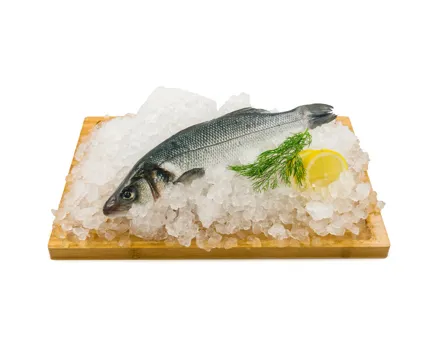 Bio Wolfsbarsch