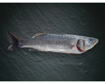 Bio Wolfsbarsch