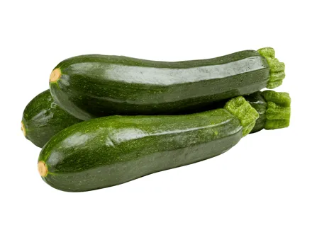 Bio Zucchetti