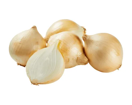 Bio Zwiebeln