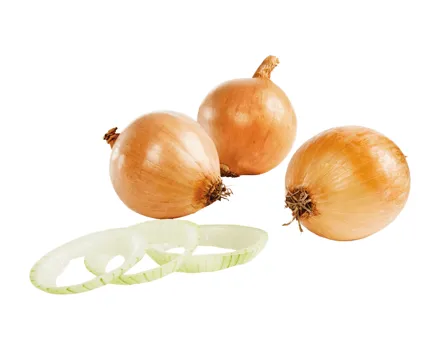 Bio Zwiebeln