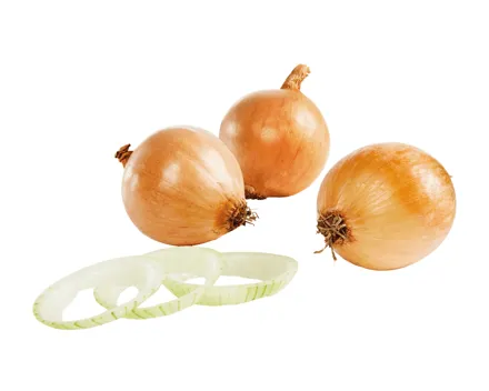 Bio Zwiebeln gelb