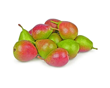 Birnen QTee IP-Suisse ca. 500g