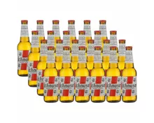 Birra Ichnusa 24x 33cl