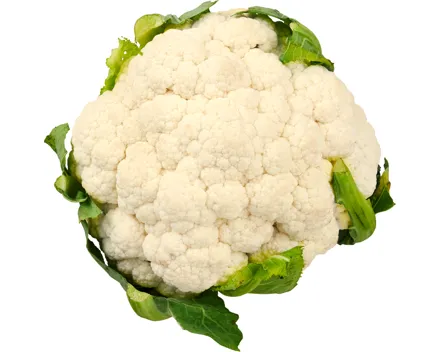 Blumenkohl