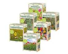 Blumensaatgut Streuschachtel