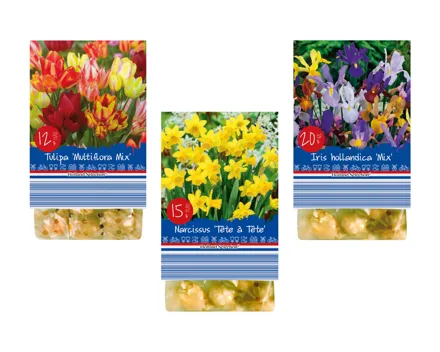 Blumenzwiebeln «Frühling»