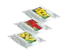 Blumenzwiebeln im Jutesack