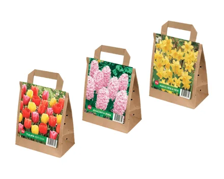 Blumenzwiebeln Tulpen