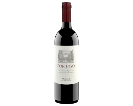 Bolgheri Superiore DOC Sor Ugo Aia Vecchia (2022) – Rotwein, Italien (0.75l)