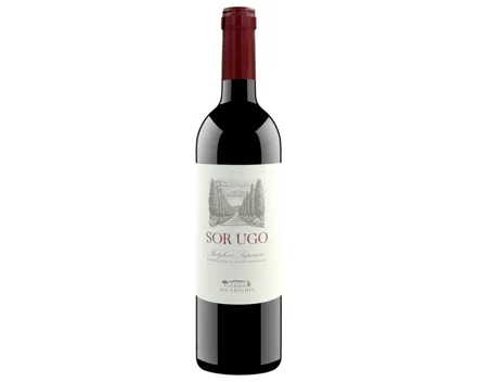 Bolgheri Superiore DOC Sor Ugo Aia Vecchia (2023) – Rotwein, Italien (0.75l)