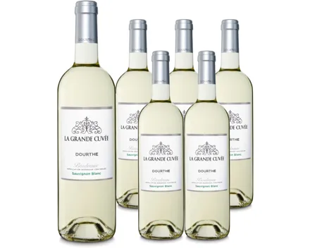 Bordeaux AOC Dourthe Sauvignon Blanc La Grande Cuvée 6x 75cl (2024) – Weisswein, Frankreich (0.75l)