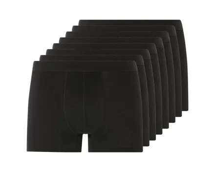 Boxer, 8er
