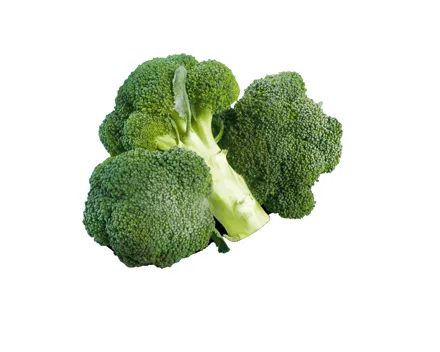 Broccoli
