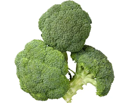 Broccoli