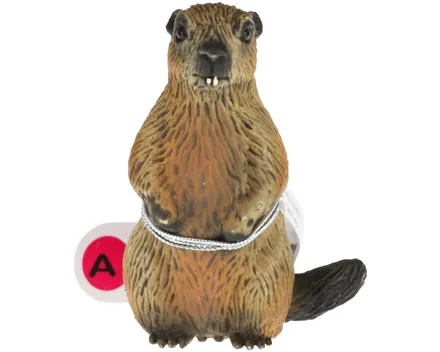 Bullyland Wild Life (1 Stück)