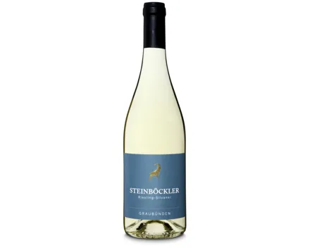 Bündner AOC Riesling-Silvaner Steinböckler (2024) – Weisswein, Schweiz (0.75l)