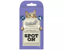 CACHET Spot On Katzen