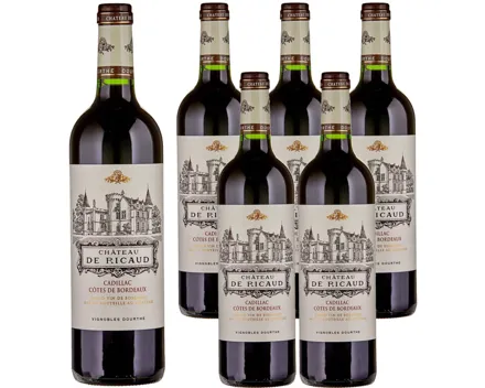 Cadillac Côtes de Bordeaux AOC Château de Ricaud 6x...