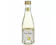 Cafe de Paris, Wine Seltzer Holunder